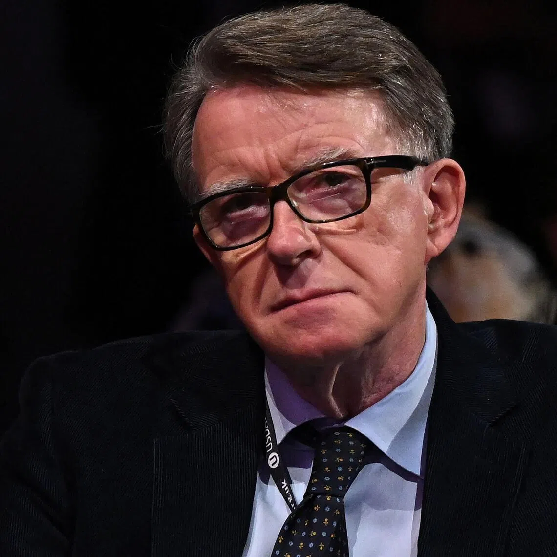 Britain's sacked ex-ambassador to the US, Mr Peter Mandelson, quit the Upper House of Parliament, the speaker announced on Feb 3.