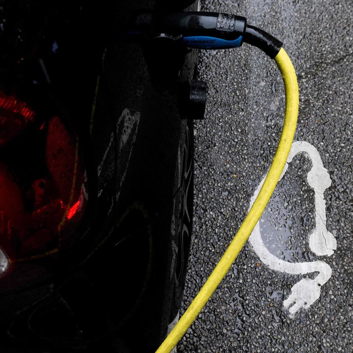 Electric cars were adding an extra 300 megawatts of demand at night, straining the grid, said the Sri Lankan President.