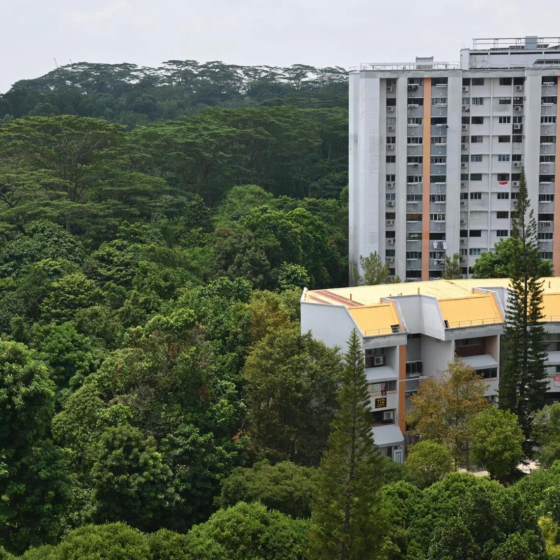 At Maju Forest, more greenery has been set aside at the southern part of the site to create a wider and more contiguous green area.