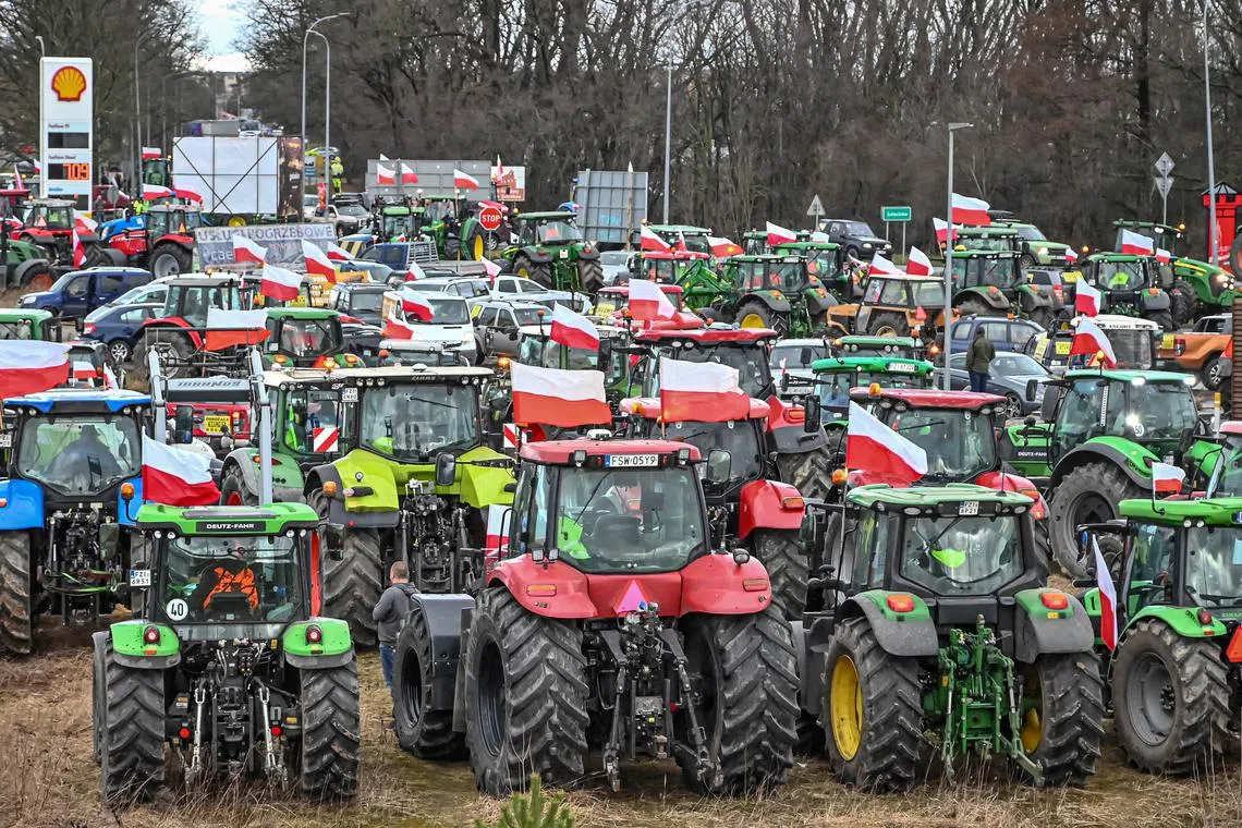 FILE PHOTO: Polish farmers protest over price pressures, taxes and green regulation, grievances shared by farmers across Europe and against the import of agricultural produce and food products from Ukraine, as they gather with tractors near Sulechow, Poland, February 20, 2024. Wladyslaw Czulak/Agencja Wyborcza.pl via REUTERS