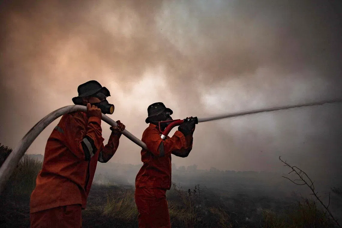 Firefighters attempt to extinguish a peatland fire in Palembang, South Sumatra, on Oct 4, 2023.