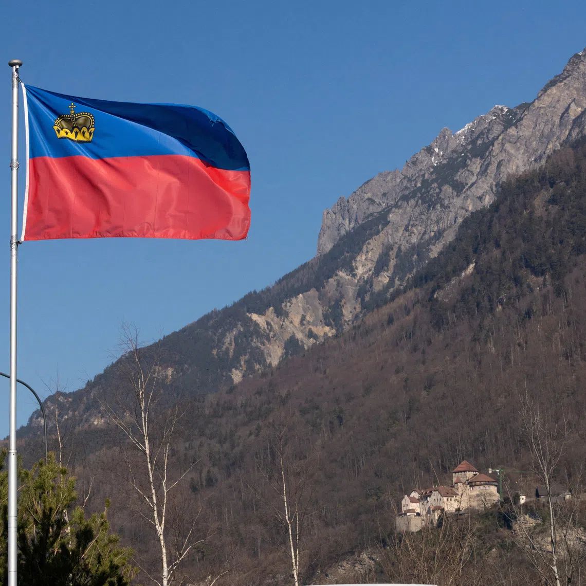 A flag of Liechtenstein flutters in front of the Vaduz Castle near Vaduz, Liechtenstein, March 3, 2025. REUTERS/Denis Balibouse