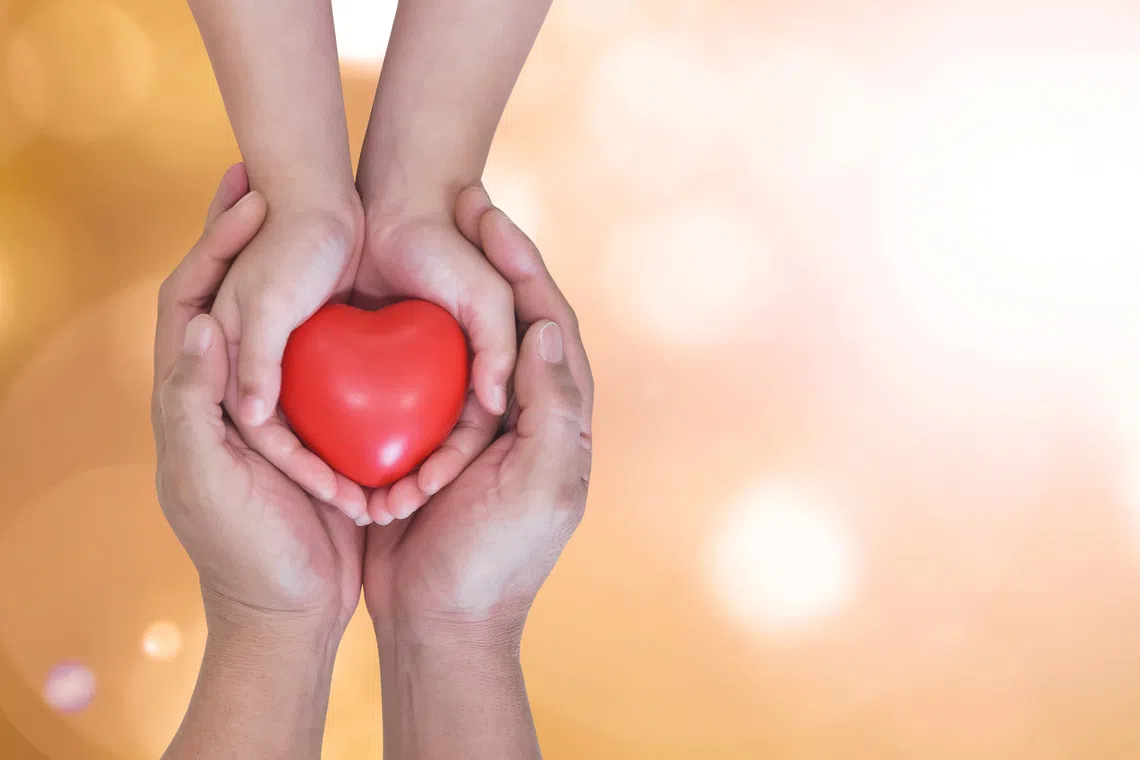 Research strongly suggests that foster care offers the best chance of recovery and growth for children who have suffered family abuse.