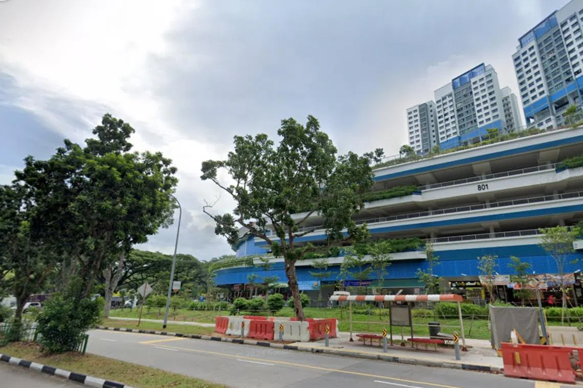 These closures are needed to facilitate the construction of a new pedestrian overhead bridge near Block 801 West Coast Crescent.