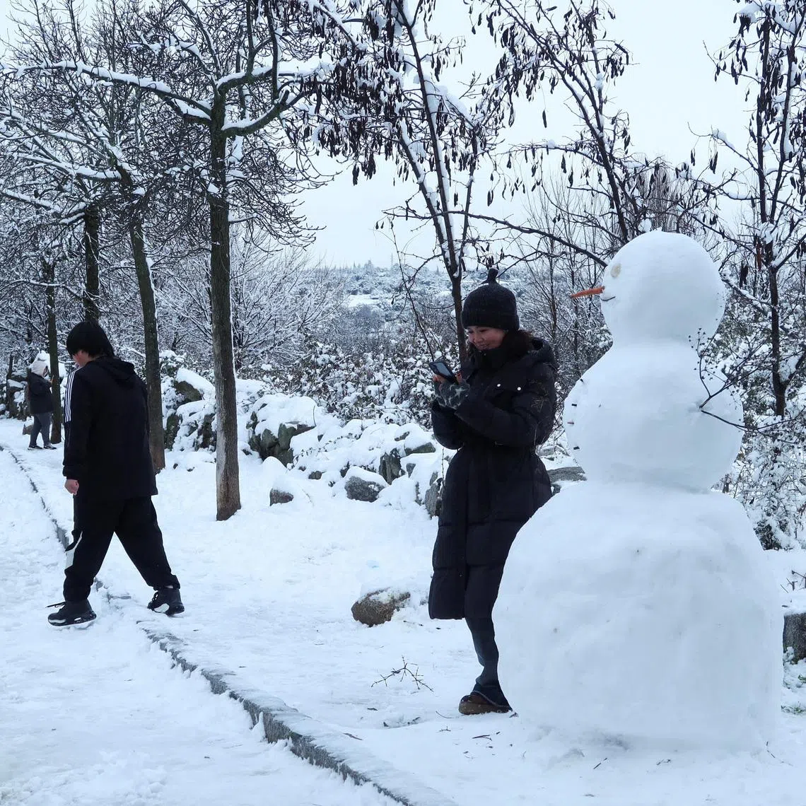 Catalan civil protection services sent a mobile emergency alert warning the population to stay indoors and avoid unnecessary travel.