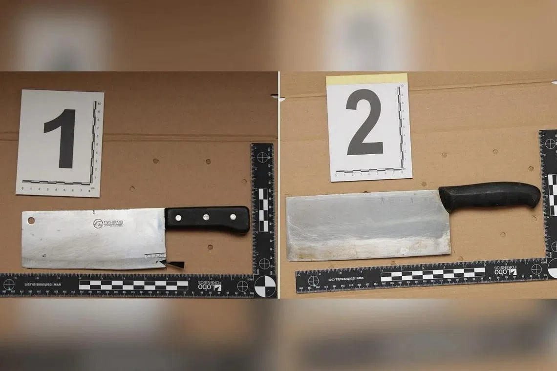 Police officers identified and arrested the man within an hour of the report, and also retrieved two cleavers.