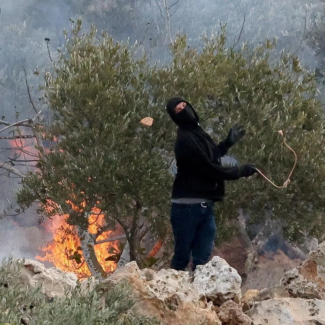An Israeli settler casting a stone towards Palestinians in the West Bank on Oct 16, amid clashes during the Palestinians’ olive harvest.