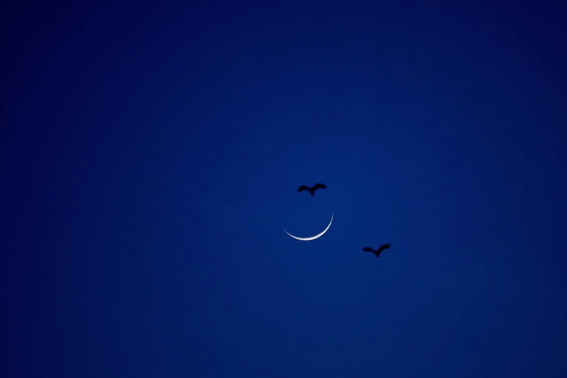 Birds flying, with the crescent moon marking the end of the holy fasting month of Ramadan in Skopje, North Macedonia, on April 10, 2024. 