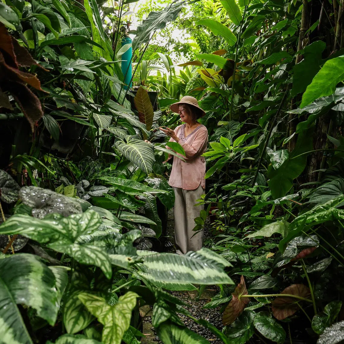 Former ST staffer Irene Ngoo who has sold her 7,800 sq ft property in Sunset Heights and will move to a condominium. Taken 21 July 2025