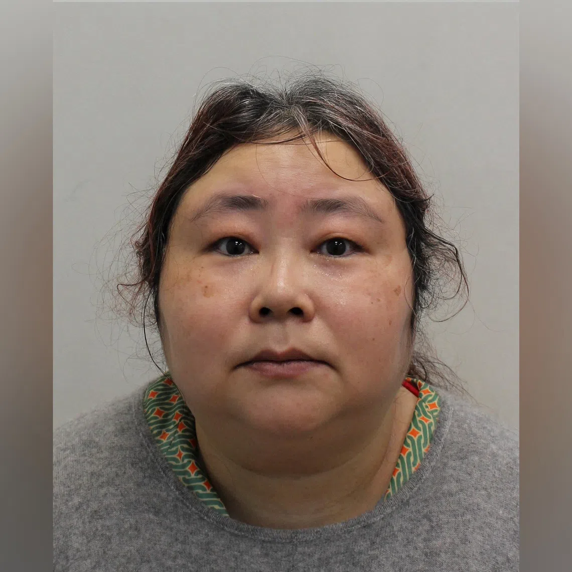 Prosecutors say Qian Zhimin ran an investment fraud between 2014 and 2017.