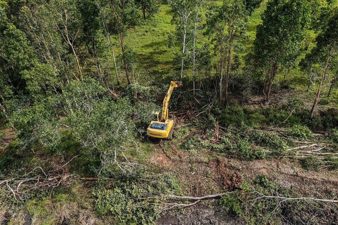 An excavator clearing trees in Gurinda Jaya village in Merauke regency, South Papua, on Jan 24, to make way for rice cultivation.