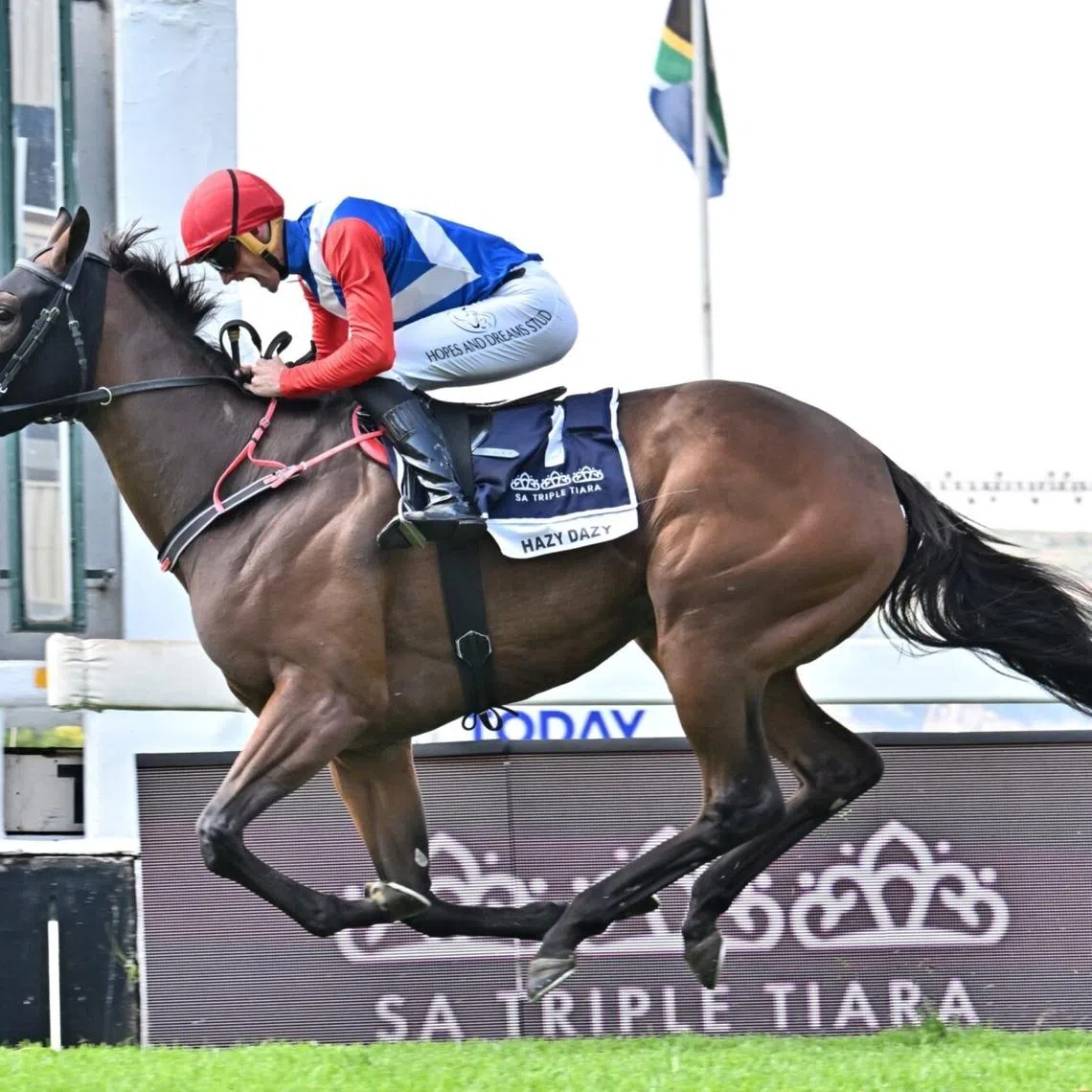 HAZY DAY, RIDDEN BY TRENT MAYHEW, EWINS THE GRADE 1 WILGERBOSDRIFT SA FILLIES CLASSIC AT TURFFONTEIN ON SATURDAY.