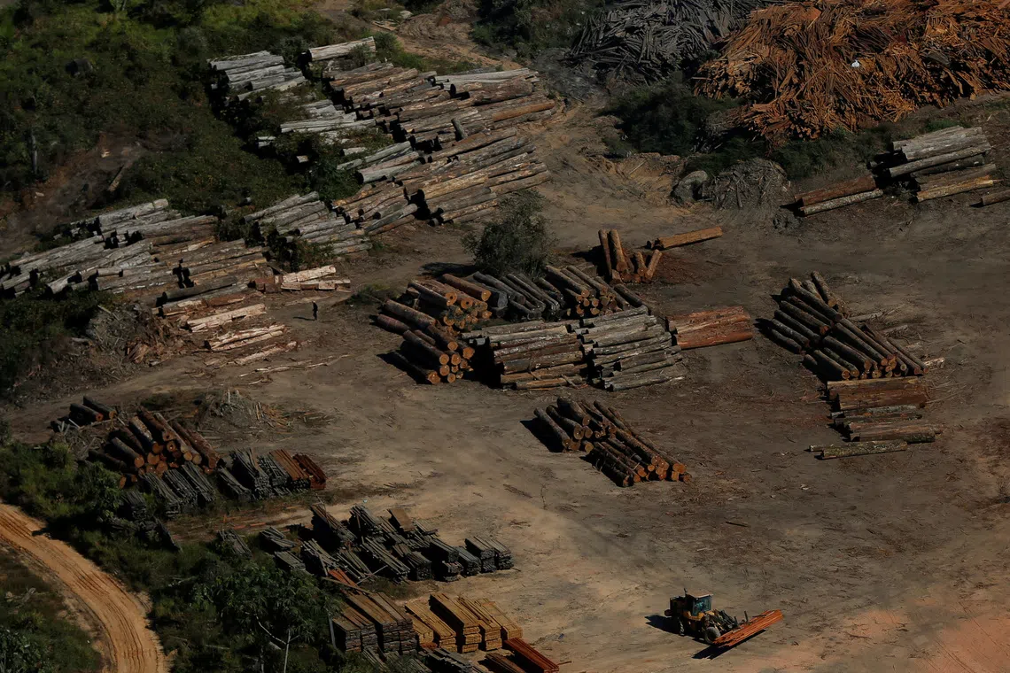 FILE PHOTO: Piles of wood are seen during \"Operation Green Wave\" conducted by agents of the Brazilian Institute for the Environment and Renewable Natural Resources, or Ibama, to combat illegal logging in Apui, in the southern region of the state of Amazonas, Brazil, July 27, 2017. REUTERS/Bruno Kelly/File Photo