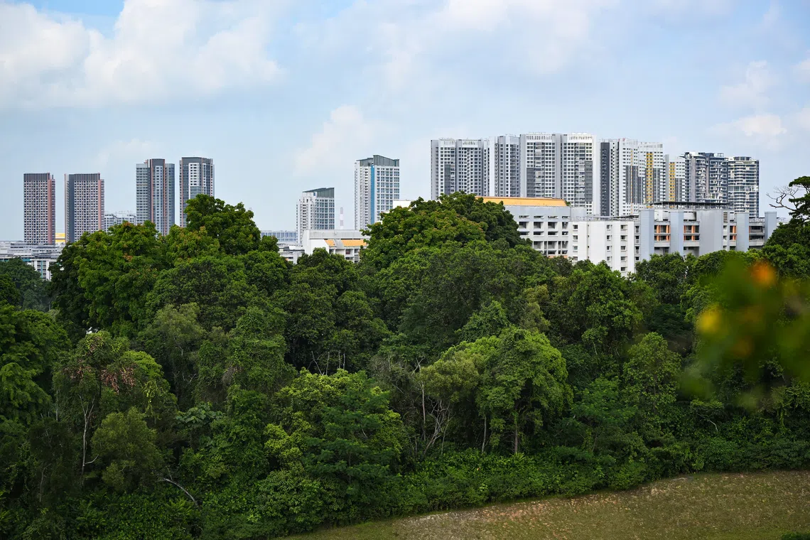 In land-scarce Singapore, we have to provide for the many needs of current and future generations – homes, jobs, transport, energy, climate resilience and national security, says the writer.