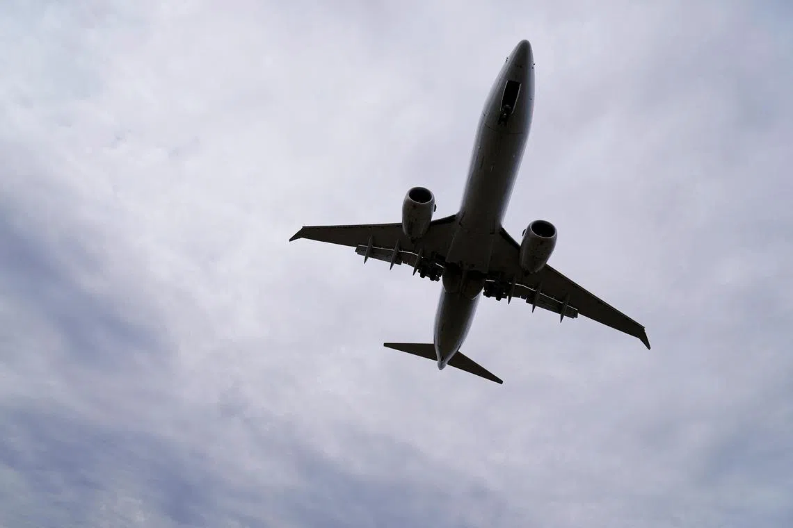 FILE PHOTO: An American Airlines Boeing 737 MAX 8 flight from Los Angeles approaches for landing at Reagan National Airport in Washington, U.S. March 13, 2019.  REUTERS/Joshua Roberts/File Photo