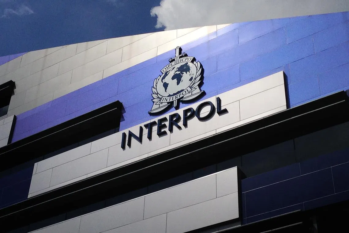 Interpol confirmed that Singapore was a participating country in Operation Liberterra II, but did not provide details on the Republic’s involvement.