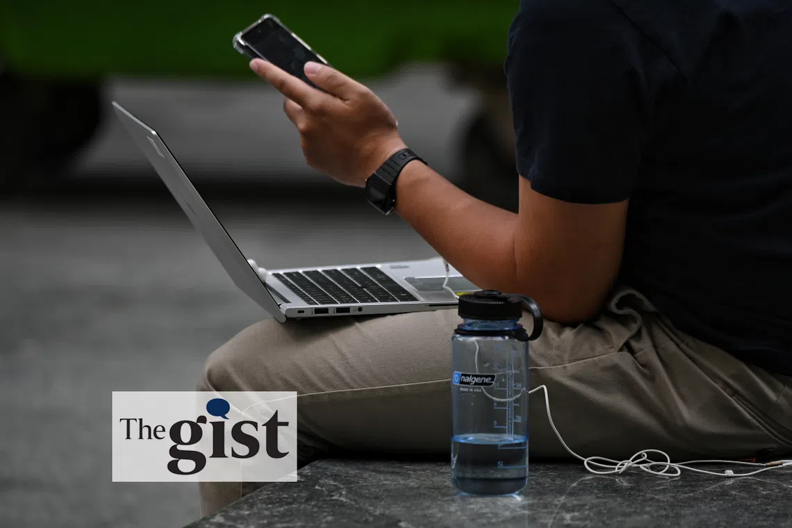 A new centre that seeks to detect harmful online content will be launched in the first half of 2024.