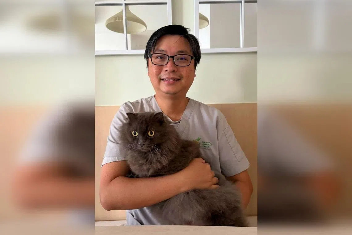 Dr Colin Foo and his cat Pepe.