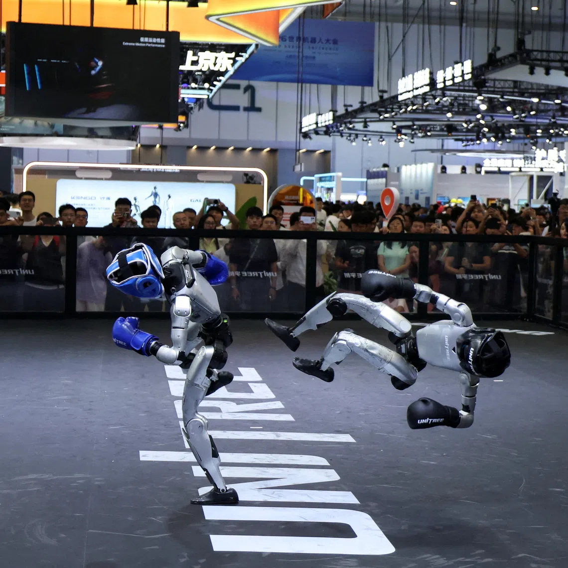 Two robots produced by Unitree take part in a fighting demonstration during the World Robot Conference in Beijing on Aug 19.