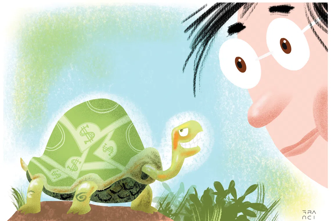 Severus II's medical treatment has far exceeded the writer's expectations of how much a turtle would cost her.