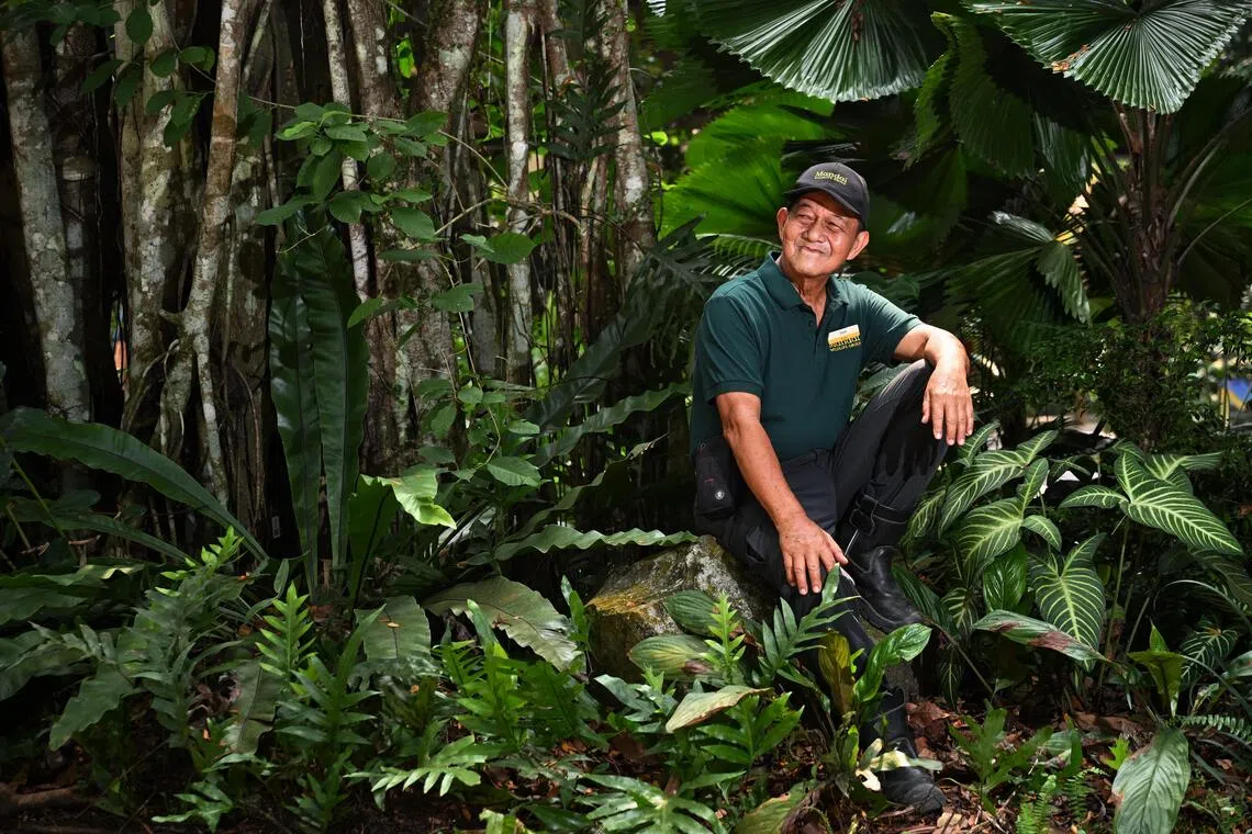 Mandai Wildlife Group assistant manager for horticulture Said Mohamed spent 44 years working with plants and has both their native and biological names at his green fingertips.