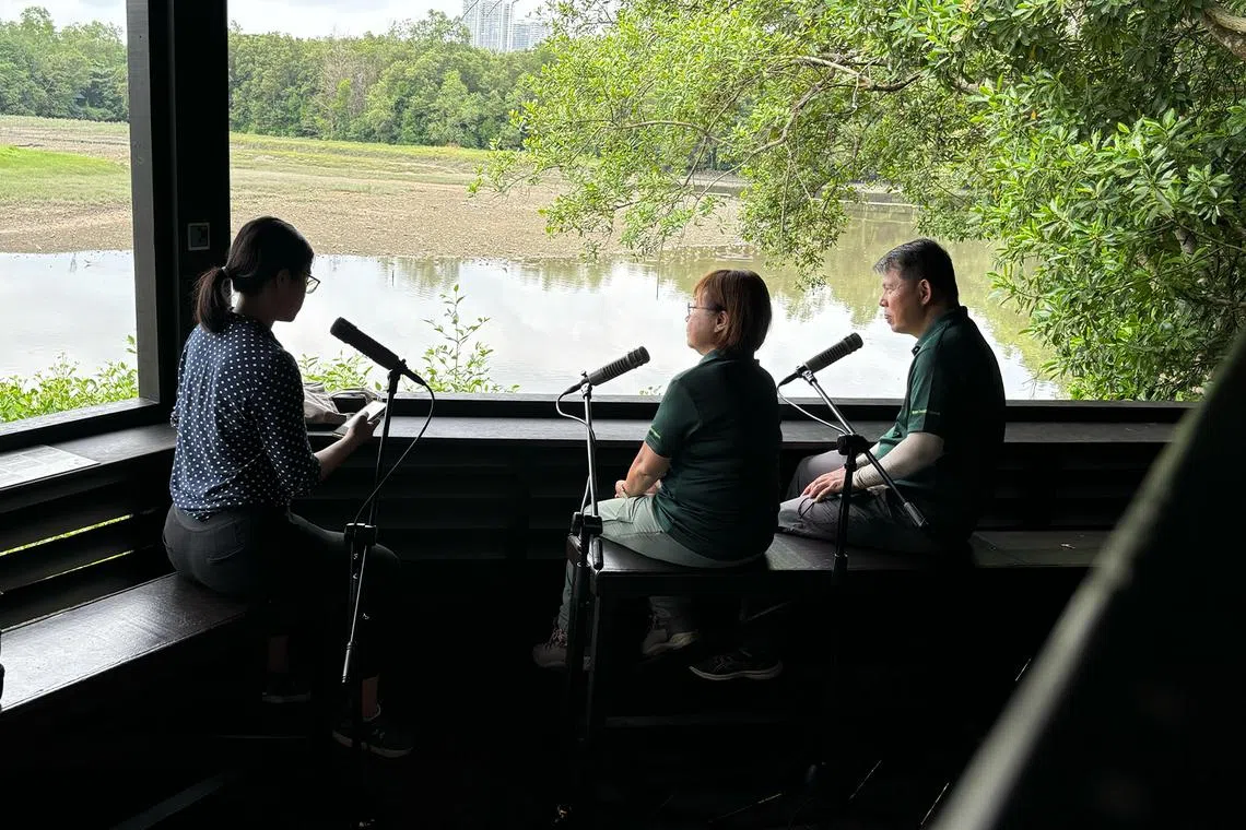 (From left) ST's journalist Ang Qing and her two expert guests - Veronica Foo and Tan Gim Cheong - chat at the main hut at Sungei Buloh Wetland Reserves. 