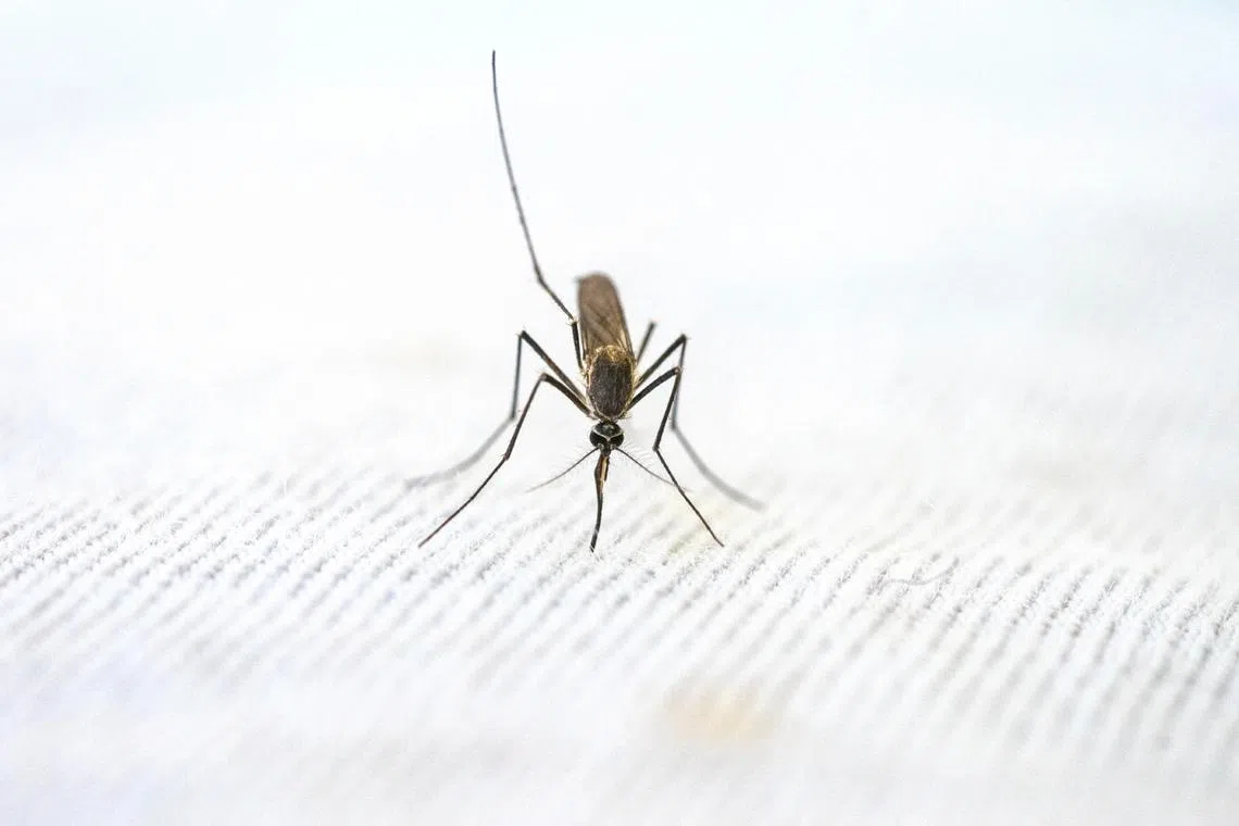 Four cases of the mosquito-borne illness were confirmed in Florida and one in Texas, the CDC said.