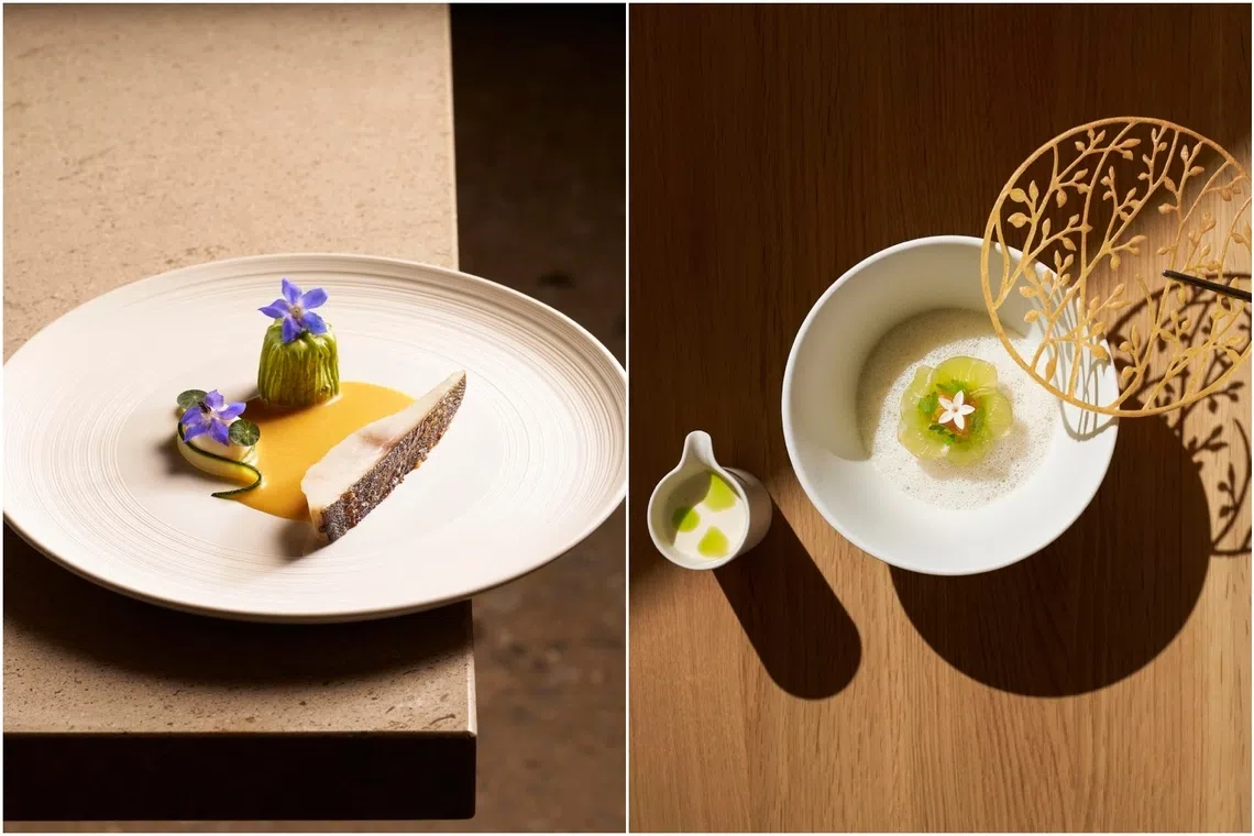 Grilled isaki, or Japanese grunt fish, is served with a beurre blanc sauce infused with Peranakan flavours (left). A tomatillo salsa adds gentle tartness to a course of vegetable dumpling with soya milk foam.