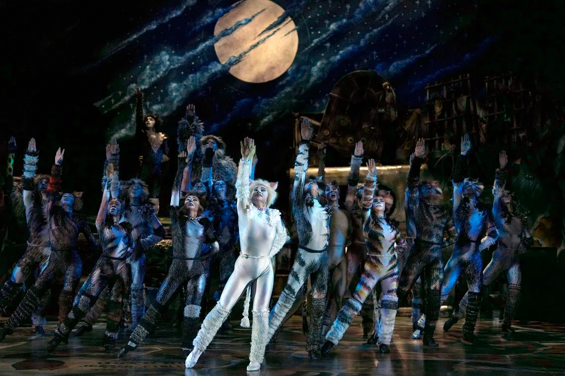 Cats musical returning to Singapore in October for its fifth run