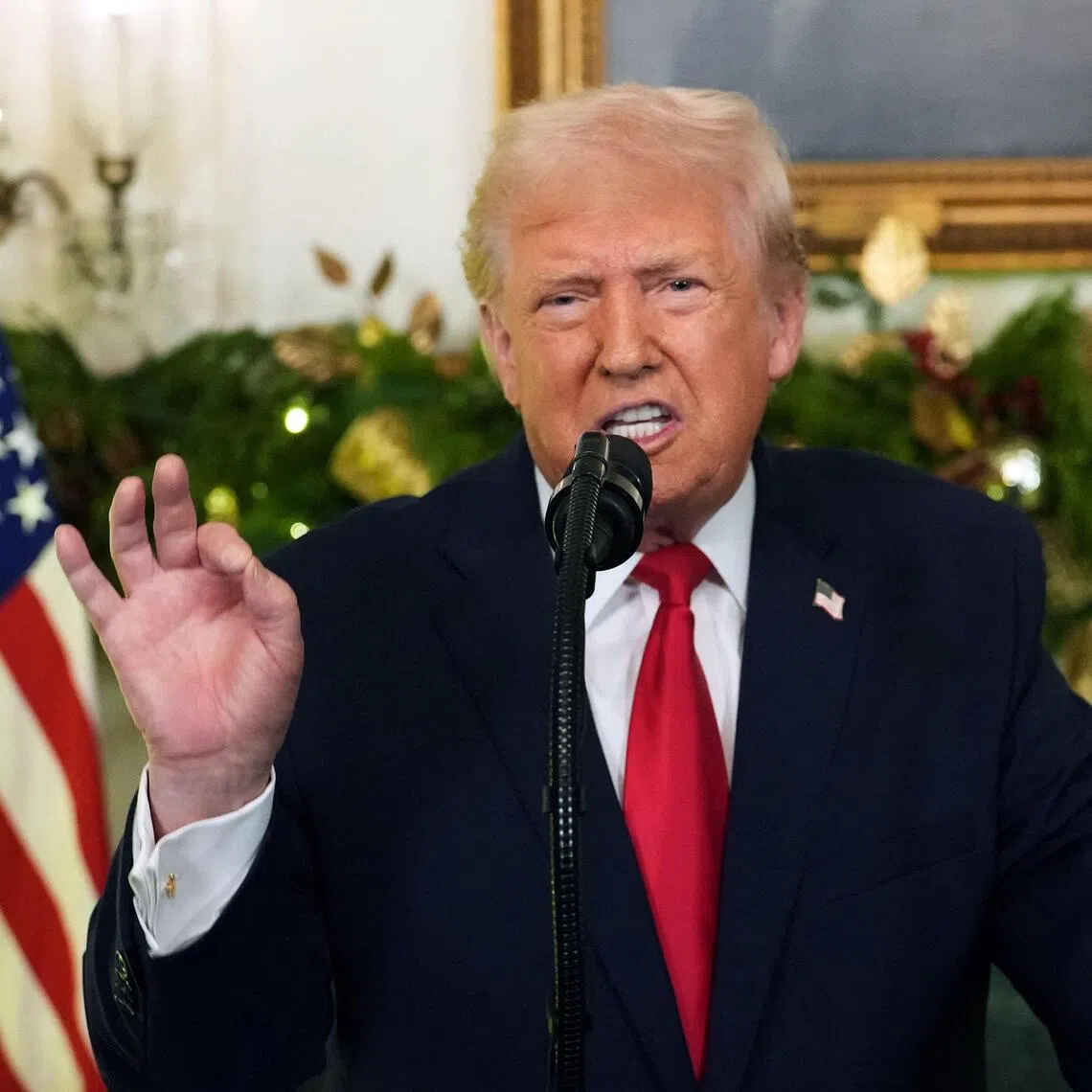 US President Donald Trump addresses the nation from the Diplomatic Reception Room of the White House in Washington on Dec 17.