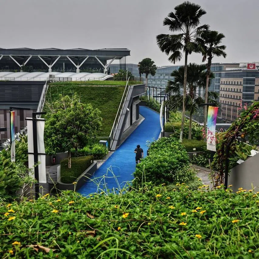 The Singapore Standard on the Design for Safety and Maintainability of Skyrise Greenery will cover rooftop and vertical greenery such as rooftop gardens, landscaped balconies and green walls.