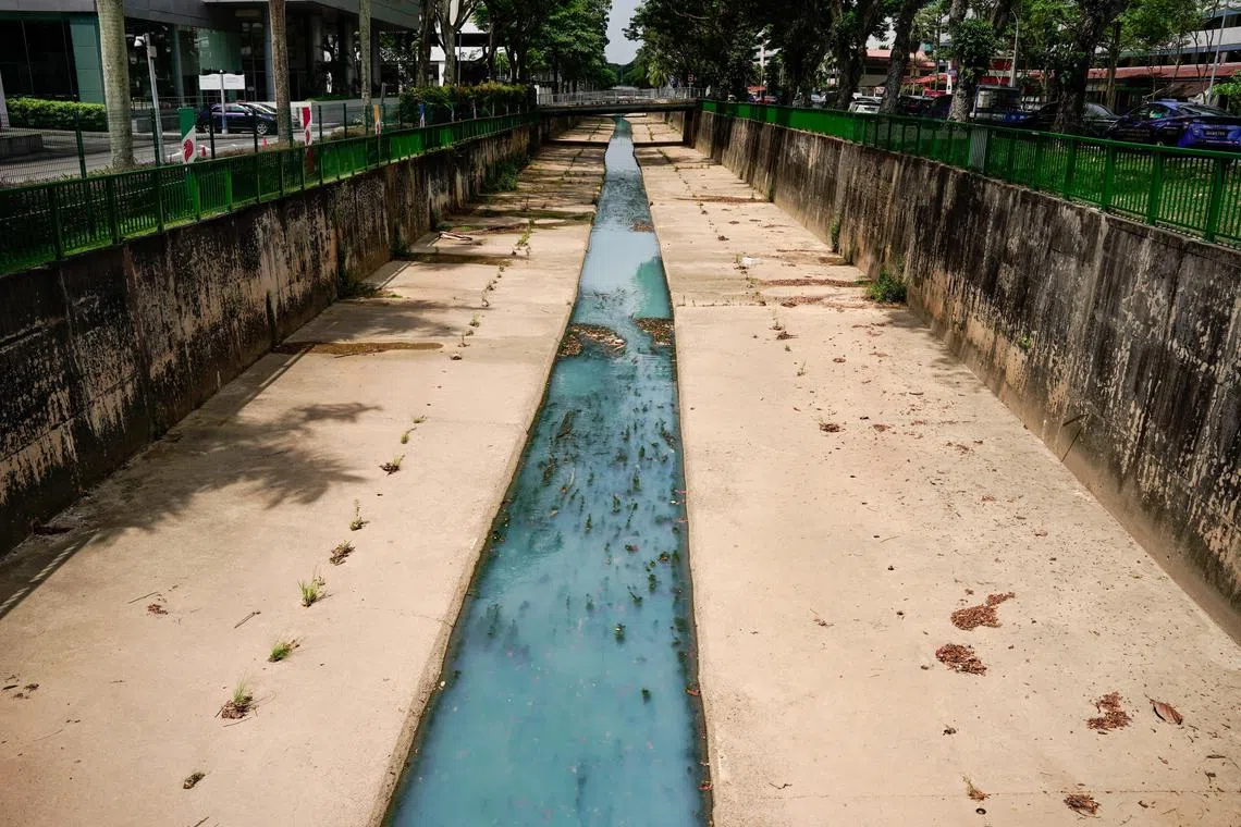 Drain outside of SPH turns blue. Taken at around 1430hrs on August 10, 2023.

(ST PHOTO: EUGENE TAN)