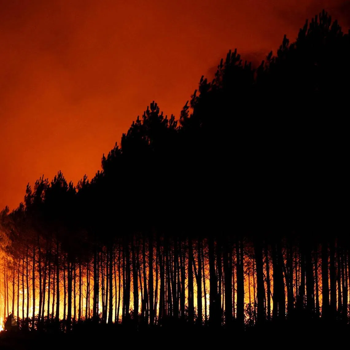A wildfire burns in a forest area in the Gironde department amid worsening drought conditions following a heatwave and water shortages across much of France, July 22, 2026. REUTERS/Stephane Mahe TPX IMAGES OF THE DAY