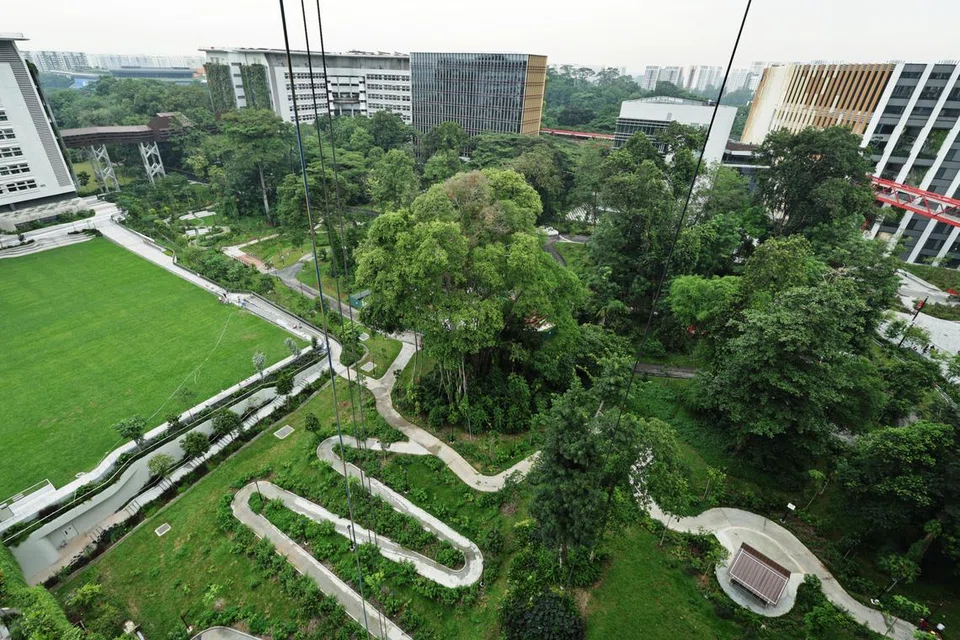 Cérémonie de plantation d'arbres sur le Sentier du Patrimoine Punggol
