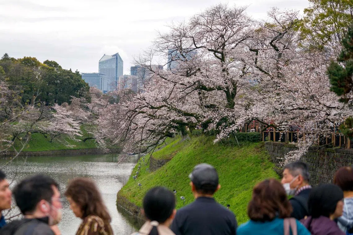 The spring cherry blossom season and the Easter break helped boost Japan's visitor numbers.