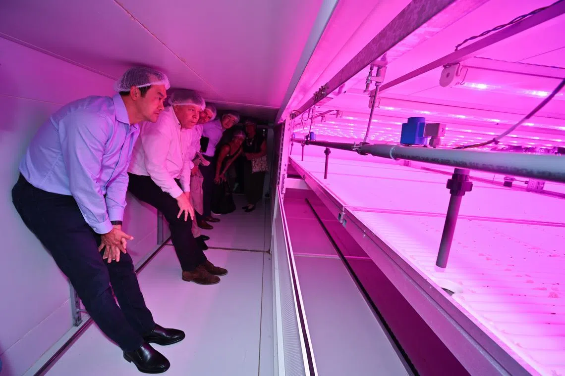 Senior Minister of State for Sustainability and the Environment Koh Poh Koon and Growy founder and CEO Ard van de Kreeke at the firm's indoor vertical farm.