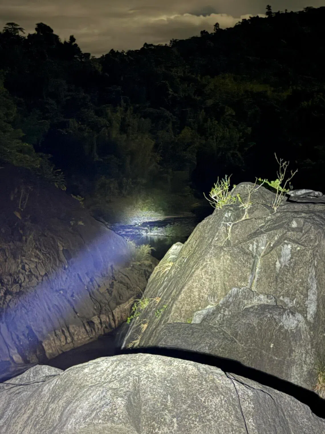 Crocodiles are near-impossible to spot at night. Surveyors usually sweep a torch across the water and watch for the pale yellow shine of a crocodile’s eyes.