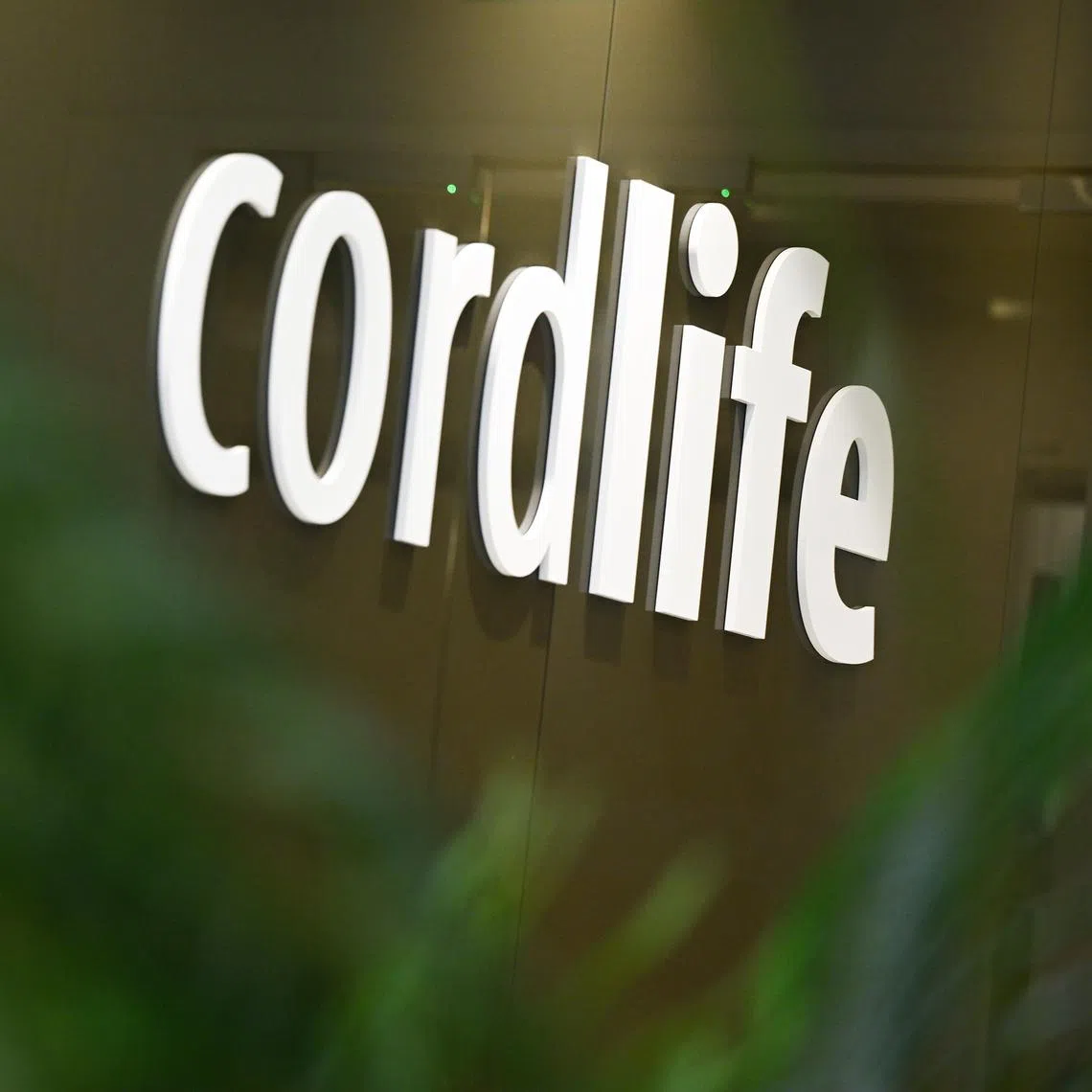 Cordlife's cord blood banking services have been renewed for another year.