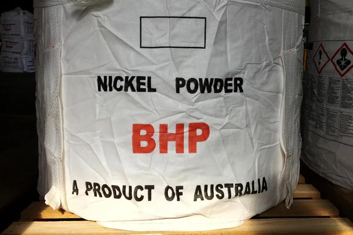 Only about 10 per cent of Australia's listed firms – typically large firms such as BHP Group – currently make fully comprehensive disclosures.