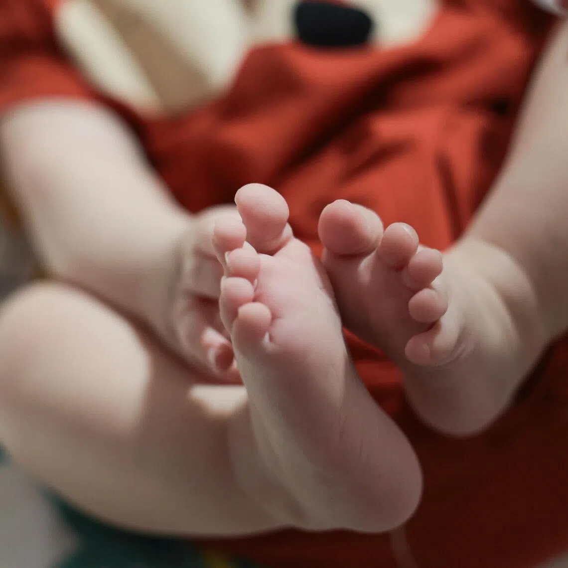 CMG20240228-JasonLee01/出生率下降：拍婴儿 [Blk 103A Bidadari Park Drive]Generic photos of 5 months old baby.