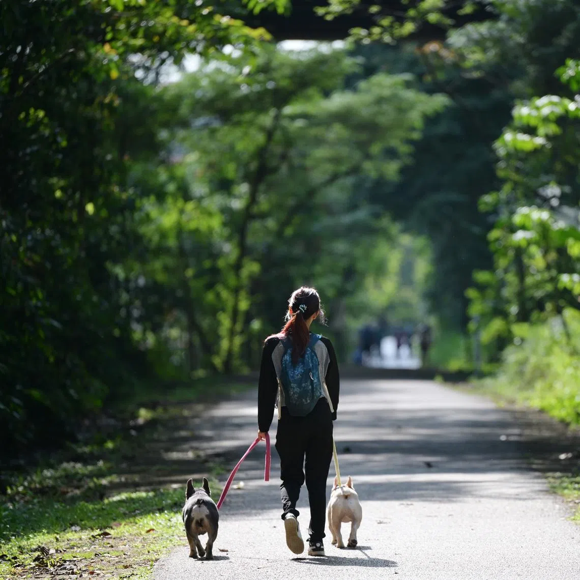 In an era where loneliness is rising to pandemic levels, these molecules may hold vital clues to our mental health.