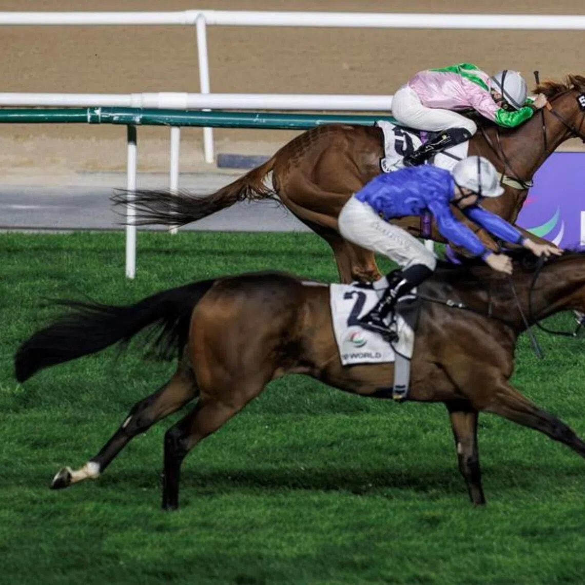 The Ed Walker-trained Fort George (Kieran Shoemark, on rail) clawing his way back to the front to narrowly edge Arabian Light (Billy Loughnane) out in the Group 3 Dubai Millennium Stakes (2,000m) at Meydan on Jan 30.

