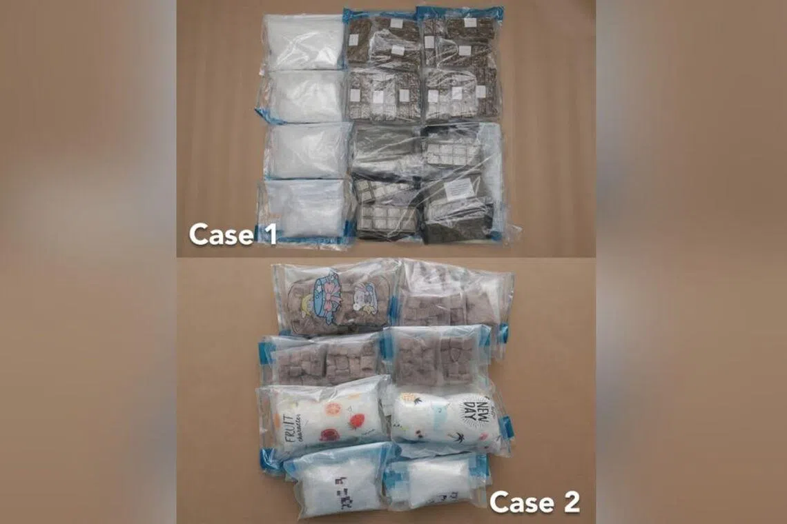 Traveller caught at Woodlands Checkpoint trying to smuggle in drugs by disguising them as pet food