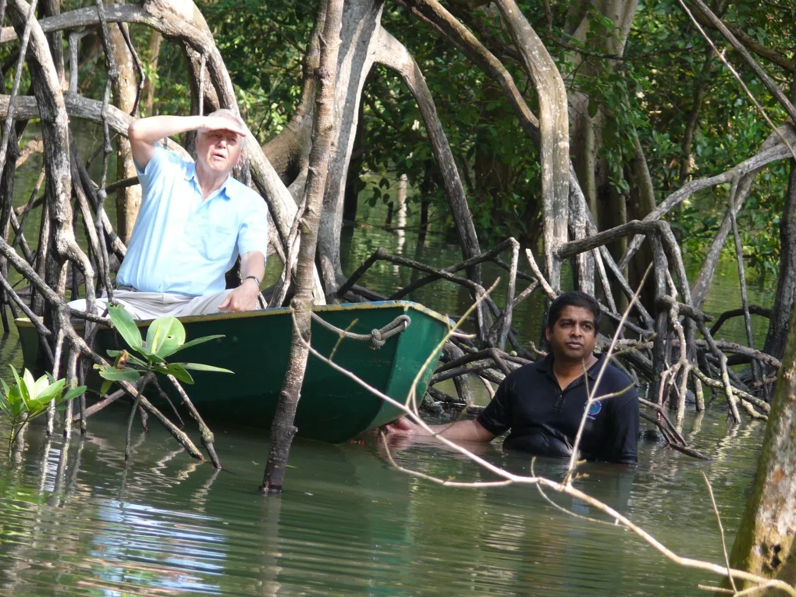 Sir David Attenborough (left) during filming of Life In Cold Blood at Sungei Buloh Wetland Reserve in 2006, with Mr N. Sivasothi helping out with the shoot.