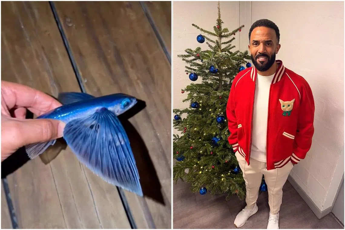 English singer Craig David returned the fish to the water, only for it to get eaten by a bigger fish seconds later.