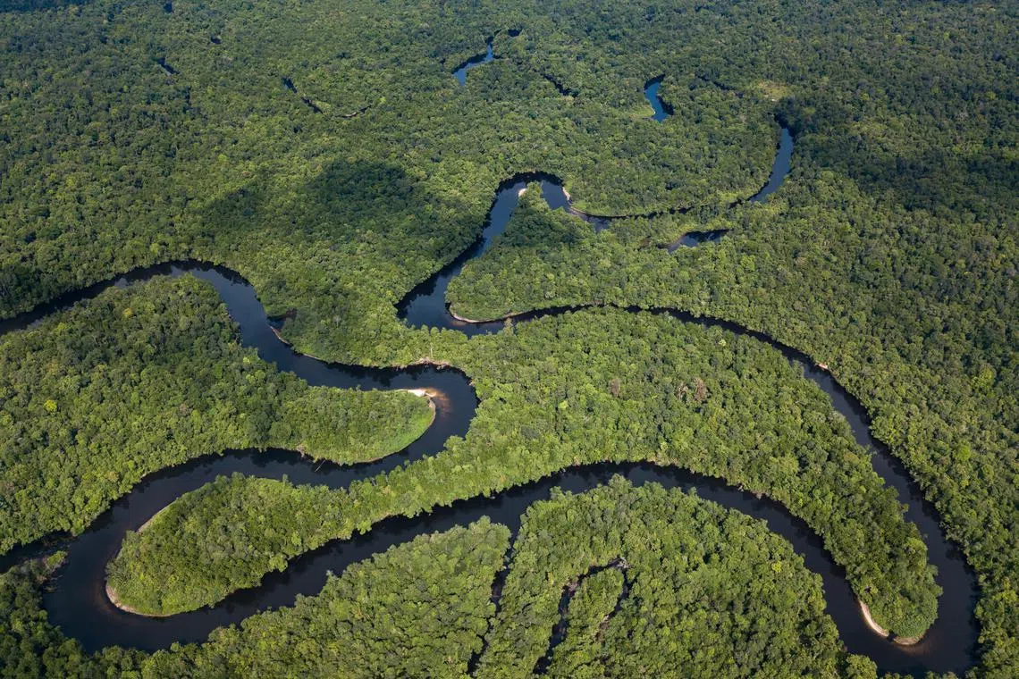 The ministry said in a Facebook post that the chopper went missing in the rugged Cardamom Mountains, which are cloaked in dense rainforest.