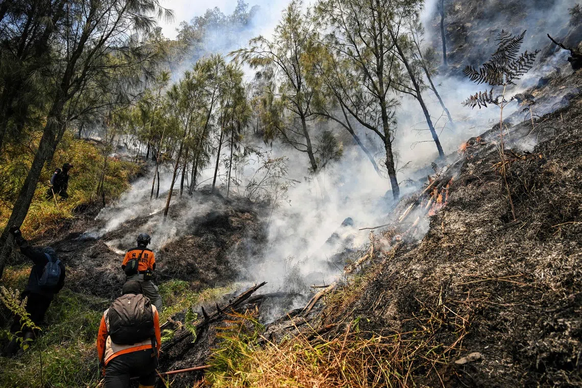 Fire destroys at least 60ha at Indonesia’s Mount Bromo park