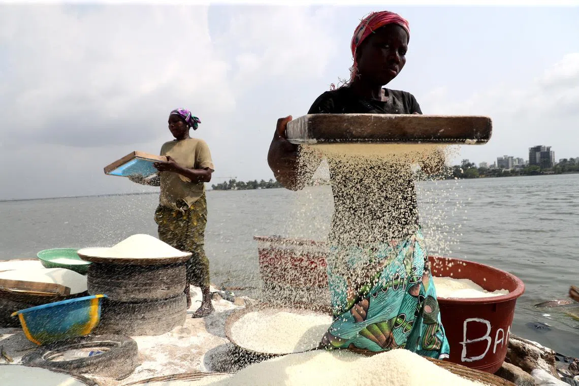 Women preparing cassava flour for the traditional dish of attieke in Abidjan, Ivory Coast, on Dec 11, 2024. 