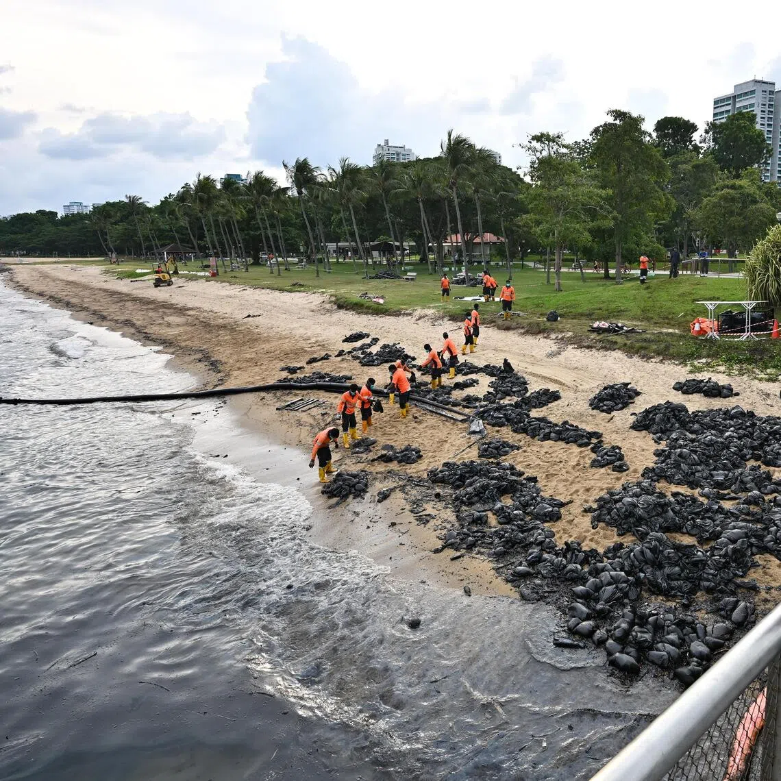 Workers forming a human chain to transfer bags of oil-stained sand for disposal near Siglap Canal at East Coast Park, on June 19, 2024.