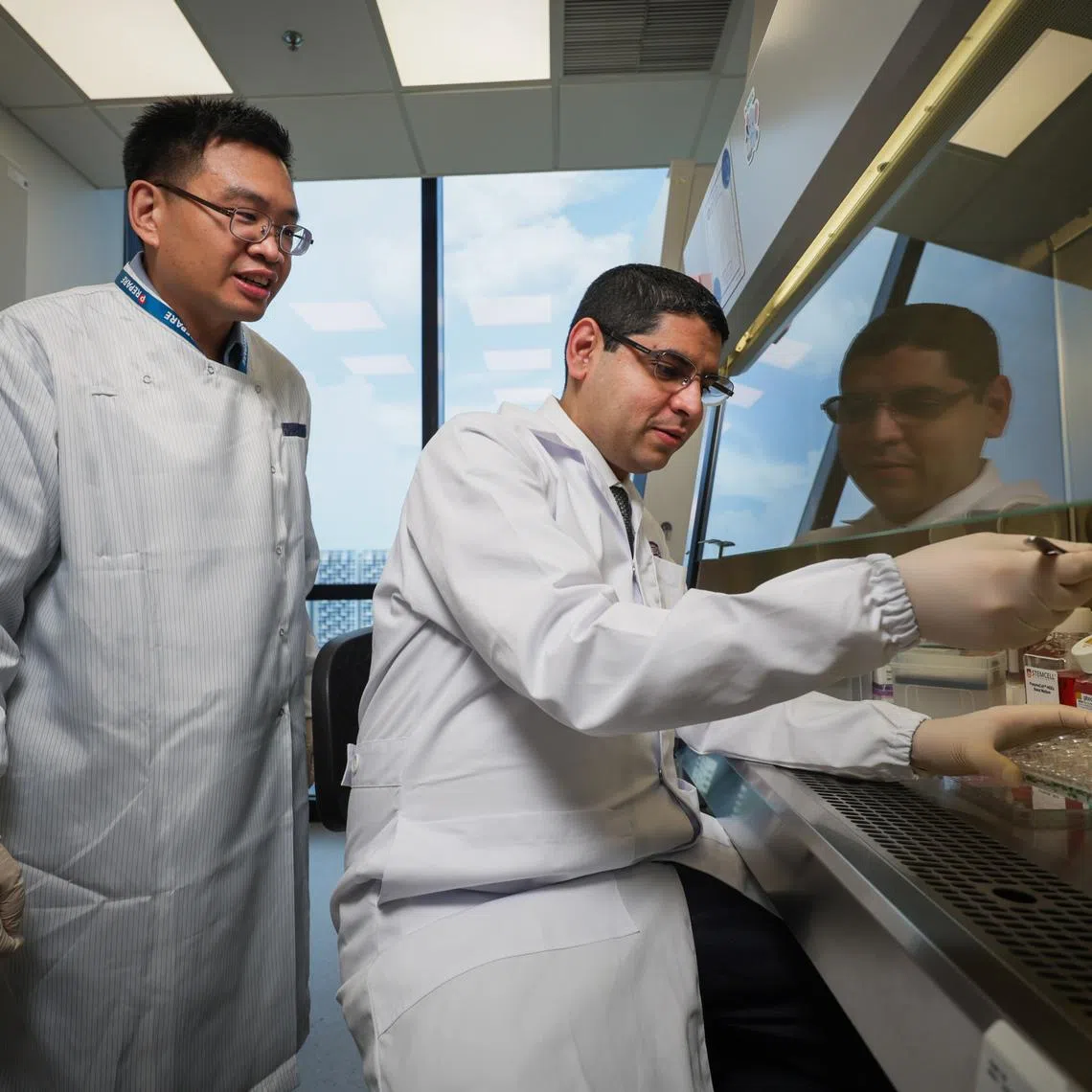 Dr Conrad Chan (left) of the Communicable Diseases Agency and Prof Sanjay Chotirmall, vice-dean of research at NTU LKCMedicine, at LKCMedicine's cell tissue culture lab on Apr 14.
